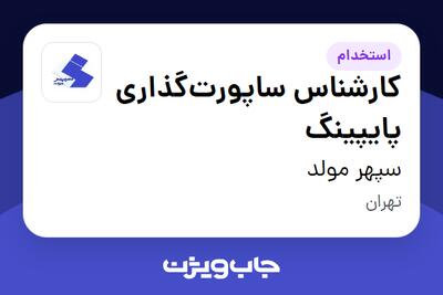 استخدام کارشناس ساپورت‌گذاری پایپینگ در سپهر مولد