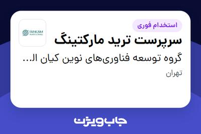 استخدام سرپرست ترید مارکتینگ در گروه توسعه فناوری‌های نوین کیان الماس مهر (فنکام)