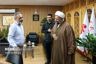 بازدید مدیرکل تبلیغات اسلامی شهرستانهای تهران از خبرگزاری مهر
