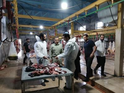 دادستان پلدختر از کشتارگاه دام این شهرستان بازدید کرد