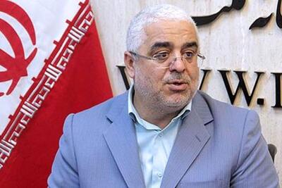فرزین مأموریت دارد پول ملی را زمین بزند