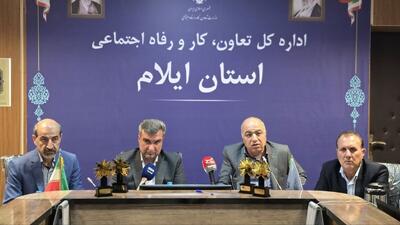 ۶۵ درصد تعاونی‌های استان ایلام فعال هستند