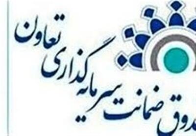ضمانت‌نامه‌هایی که پشت تعاونی‌ها را خالی کردند - تسنیم