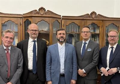 دیدار غریب‌آبادی با سفرای نوردیک و مقام وزارت خارجه روسیه - تسنیم