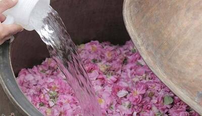 ثبت آیین گلاب‌گیری بروجرد در فهرست رویدادهای گردشگری ایران