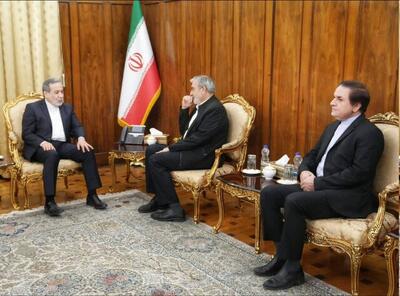 دیدار رئیس کمیسیون امنیت ملی با وزیر خارجه پیش از سفر عراقچی به مصر و تونس