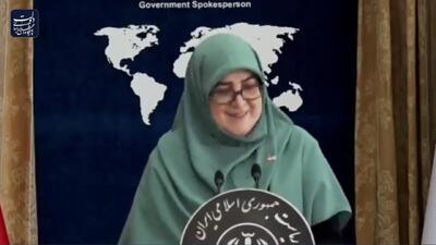 مهاجرانی: دولت پیگیر آزادی زندانیان سیاسی است+ فیلم