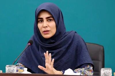 مهاجرانی درباره برکناری نادره رضایی از معاونت وزارت ارشاد: دولت از ظرفیت‌های بسیار بالای او در بخش‌های دیگر استفاده خواهند کرد