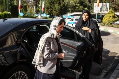 تصاویر؛ پوشش وزیر علوم ارمنستان در تهران