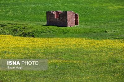 هشدار دادستان شهرستان نمین به متجاوزین عرصه های ملی و منابع طبیعی