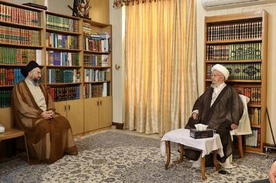 دیدار و گفت‌وگوی رهبر جریان حکمت ملی عراق با آیت‌الله مکارم شیرازی