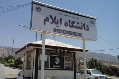 ورود دانشگاه ایلام برای مطالعات میادین نفت و گاز در استان