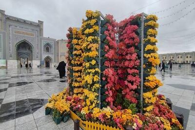گل آرایی حرم مطهر امام رضا(ع) در آستانه میلاد پیامبر اعظم(ص)
