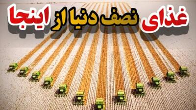 کشاورزی مدرن؛ 7 مزرعه بزرگ که غذای نصف کره زمین رو تامین می کند