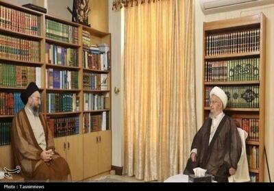 دیدار و گفت‌وگوی سید عمار حکیم با آیت‌الله مکارم شیرازی - تسنیم