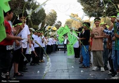 حرکت کاروان شادی نوجوانان شهرری در هفته وحدت- عکس صفحه استان تسنیم | Tasnim