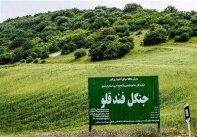 با متجاوزان به عرصه‌های ملی و منابع طبیعی برخورد قاطع می‌شود - تسنیم