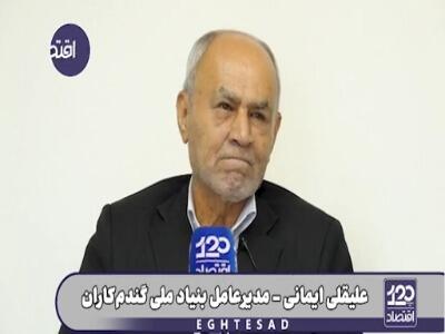 مدیرعامل بنیاد گندم‌کاران: در این دولت، دوباره از خودکفایی گندم خارج شدیم