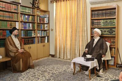 دیدار و گفت‌وگوی سیدعمار حکیم با آیت‌الله العظمی مکارم شیرازی