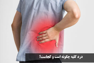 درد کلیه چگونه است و کجاست؟ چگونه درد کلیه را کم کنیم؟