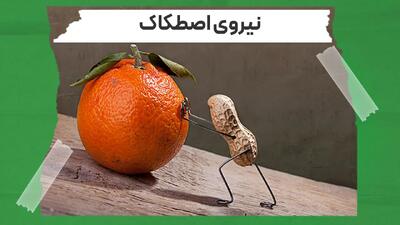 نیروی اصطکاک در فیزیک دوازدهم + ویدیو