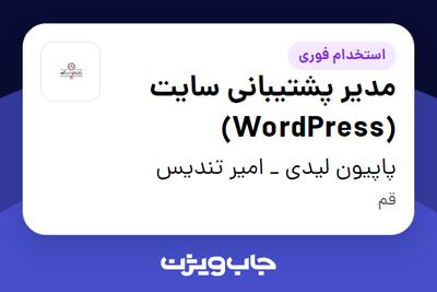 استخدام مدیر پشتیبانی سایت (WordPress) در پاپیون لیدی _ امیر تندیس