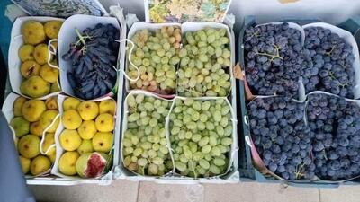 آغاز به کار چهارمین جشنواره انگور سیاه سردشت