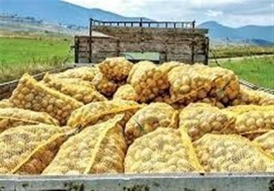 صادرات 1500 تن سیب‌زمینی از اردبیل/توسعه انبارها و سردخانه‌‌ها در اولویت است - تسنیم