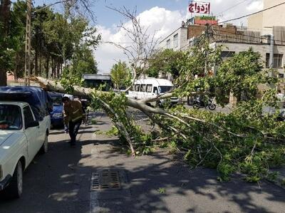 هشدار باد شدید در تهران؛ ستاد بحران به حالت آماده‌باش درآمد