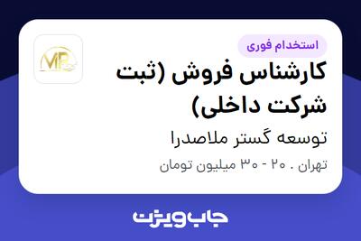 استخدام کارشناس فروش (ثبت شرکت داخلی) در توسعه گستر ملاصدرا