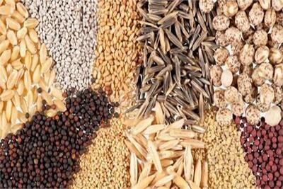 کامیون حامل ۵ تن خوراک طیور فاقد مجوز در الیگودرز توقیف شد