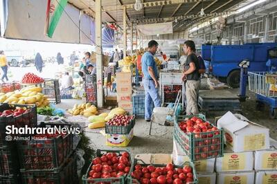 قیمت امروز میوه و تره بار در مشهد (۲۰ شهریور ۱۴۰۴) | پیاز، سیب زمینی، گوجه فرنگی و خیار کیلویی چند؟
