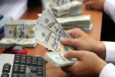 تامین ارز ۶.۵ میلیارد دلاری کالاهای اساسی/ ۲۵ میلیارد دلار ارز واردات از ابتدای سال تاکنون تامین شد