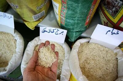 برنج خارجی ارزان شد؟