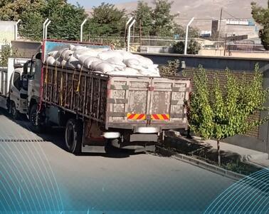 چوب تاغ قاچاق در پوست پسته در خراسان شمالی