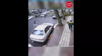 لحظه سقوط درخت بزرگ در خیابان انقلاب لاهیجان