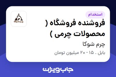 استخدام فروشنده فروشگاه ( محصولات چرمی ) - خانم در چرم شوکا