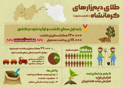 اینفوگرافیک | طلای دیم‌زارهای کرمانشاه