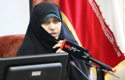راه‌اندازی شبکه راهبری مادری بانوان در کشور