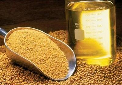 آغاز ثبت سفارش جدید واردات روغن خام از فردا - تسنیم