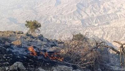 مهار آتش‌سوزی‌ها در سبزکوه و هلن/ عامل آتش‌سوزی دستگیر شد