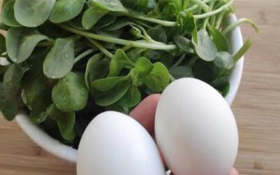 دیگه املت با گوجه درست نکن / طرز تهیه املت سبزیجات با خرفه