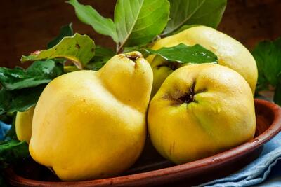 روش صحیح نگهداری و فریز کردن میوه به