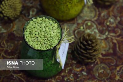 تصاویر: جشنواره عدس در ورزقان و جشنواره سماق قرمز در هوراند