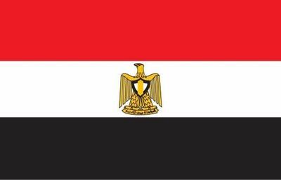 پیشنهاد مصر درباره تشکیل ارتش عربی پس از حمله اسرائیل به قطر