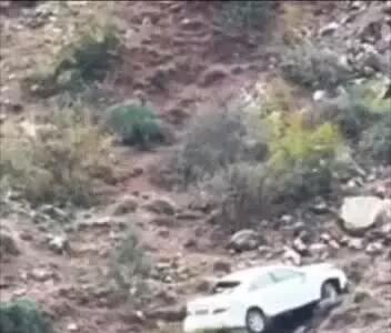 عجیب اما واقعی؛ تنه درخت در جاده هراز مانع سقوط سواری تویوتا به دره شد!