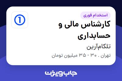 استخدام کارشناس مالی و حسابداری در تلکام‌آرین