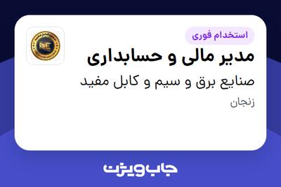 استخدام مدیر مالی و حسابداری - خانم در صنایع برق و سیم و کابل مفید