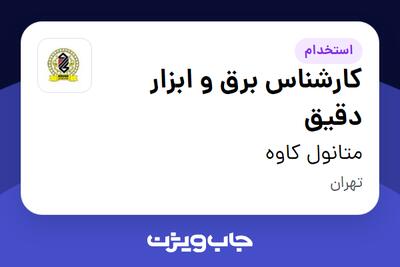 استخدام کارشناس برق و ابزار دقیق - خانم در متانول کاوه