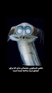 فیلم نمای نزدیک از چشم‌های لوله‌ای ماهی تلسکوپی